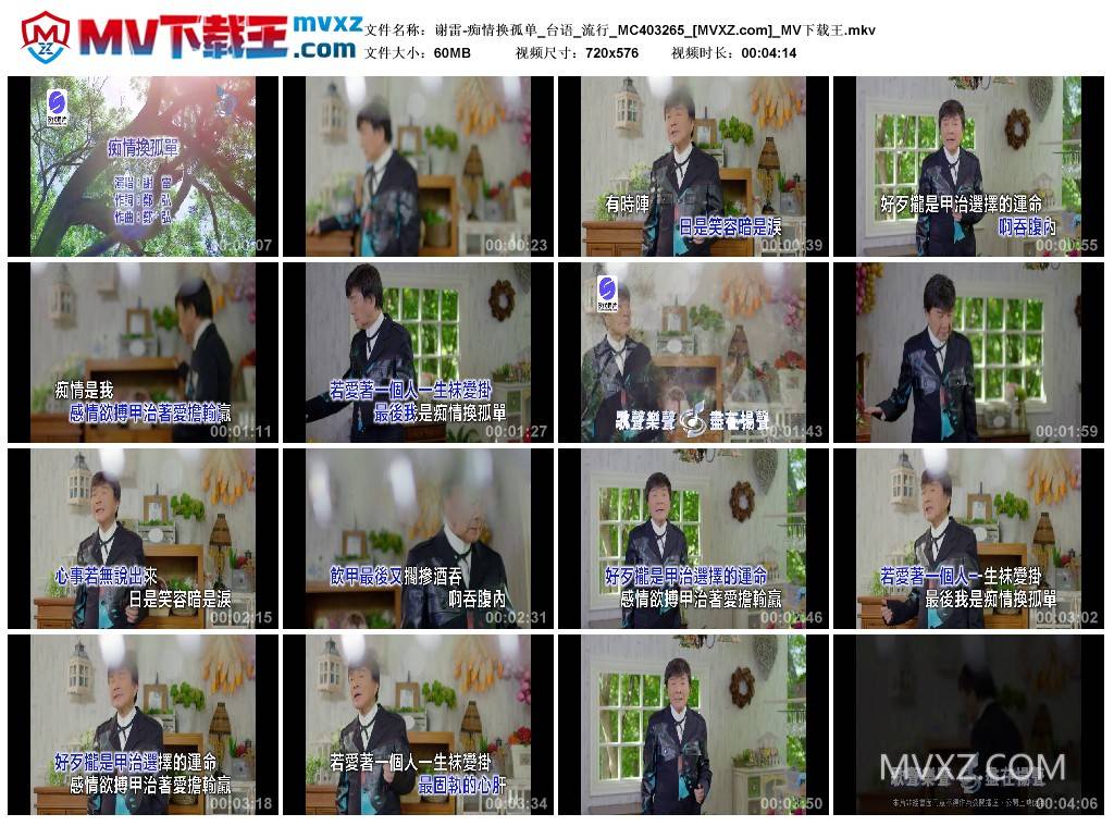 谢雷-痴情换孤单_台语_流行_MC403265